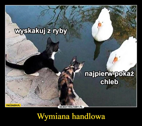 
    Wymiana handlowa