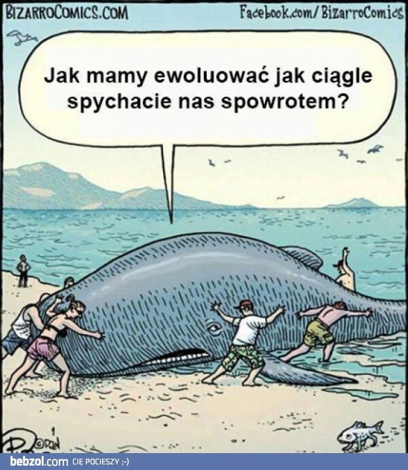 
    Ewolucja