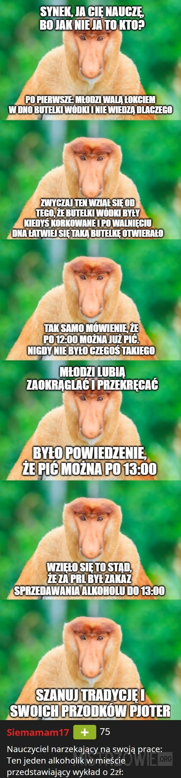 
    Garść bezcennych informacji od starego