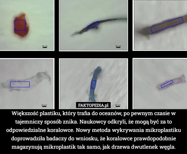 
    Większość plastiku, który trafia do oceanów, po pewnym czasie w tajemniczy