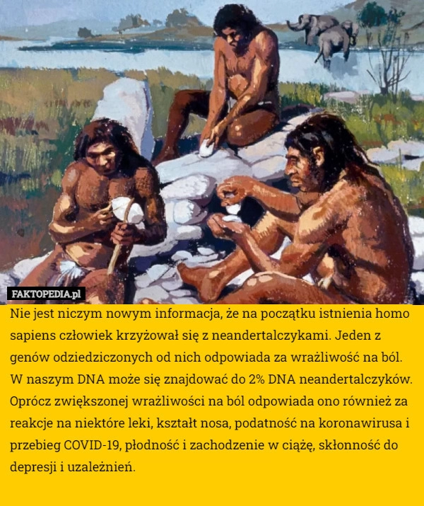 
    Nie jest niczym nowym informacja, że na początku istnienia homo sapiens