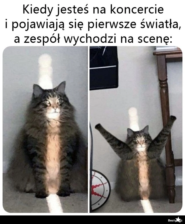 
    Wyjście na scenę