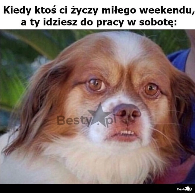 
    Wielkie dzięki 