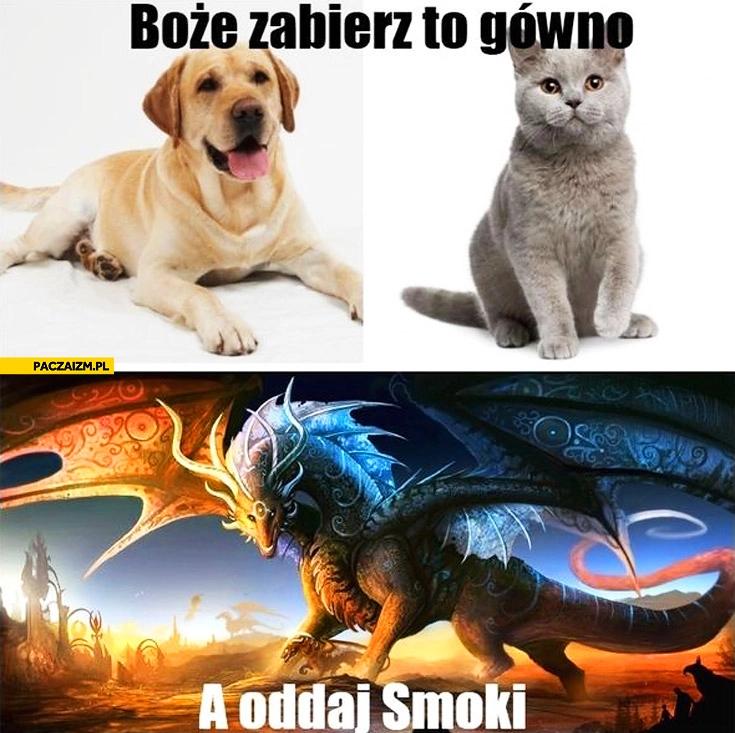 
    Boże zabierz to gówno a oddaj smoki
