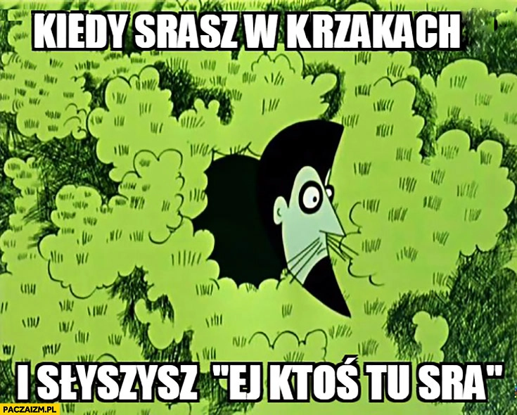 
    Kiedy srasz w krzakach i słyszysz „ej ktoś tu sra” Baltazar Gąbka