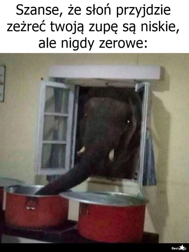 
    Kradzież zupy 