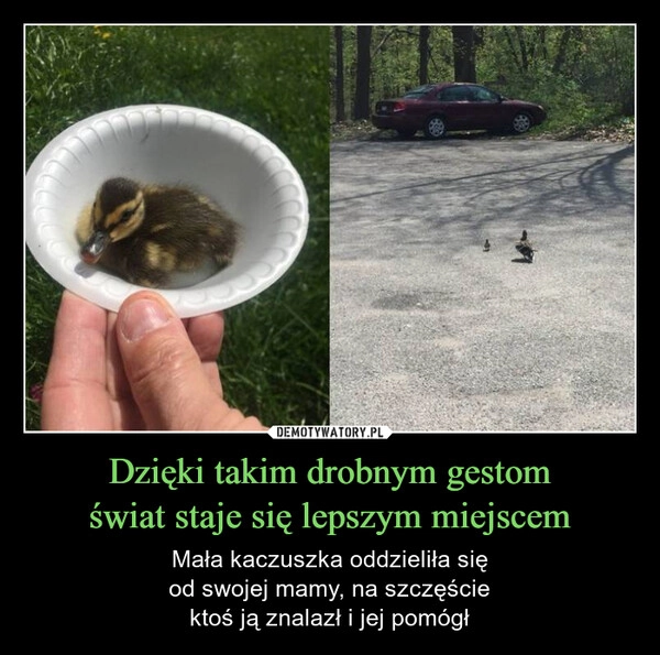 
    Dzięki takim drobnym gestom
świat staje się lepszym miejscem