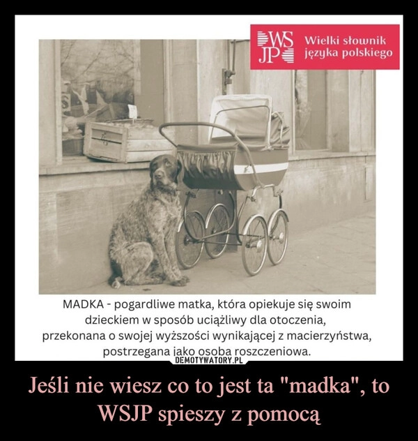 
    Jeśli nie wiesz co to jest ta "madka", to WSJP spieszy z pomocą