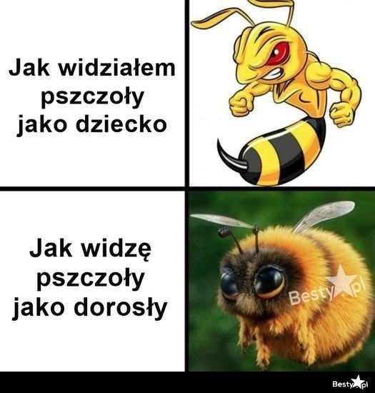 
    Pszczoły 