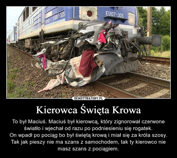 
    Kierowca Święta Krowa