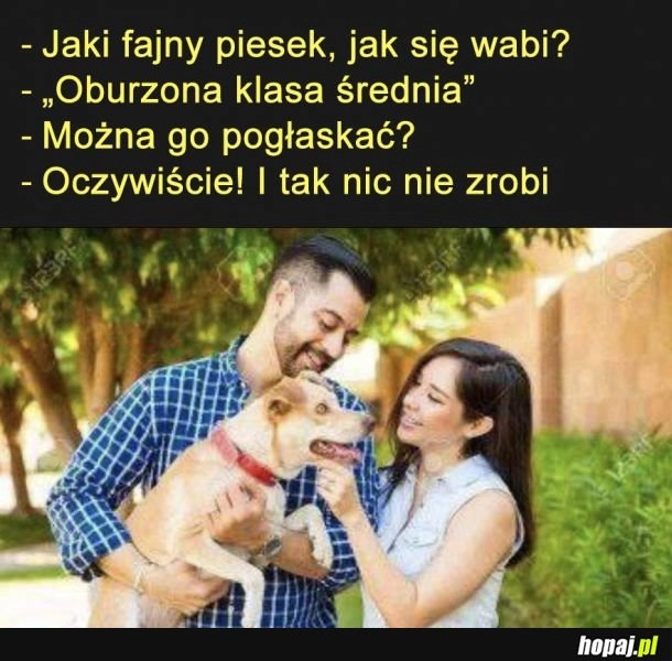 
    Oburzona klasa średnia