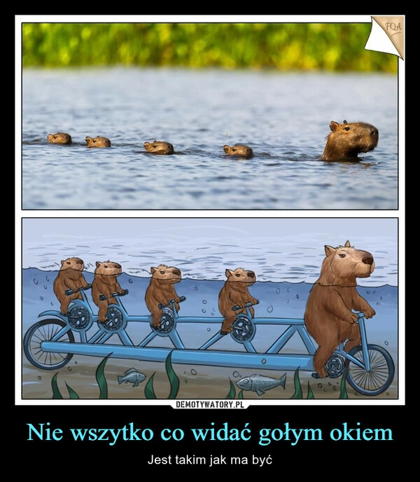 
    Nie wszytko co widać gołym okiem