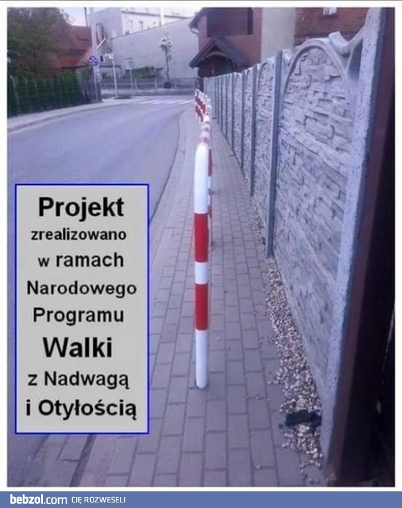 
    Walka z nadwagą i otyłością