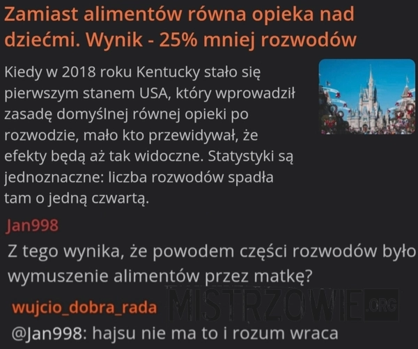
    Alimenty