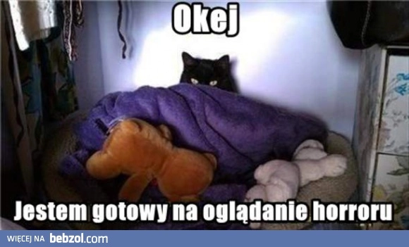 
    Jestem gotowy