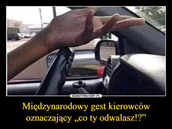 
    Międzynarodowy gest kierowców oznaczający „co ty odwalasz!?”