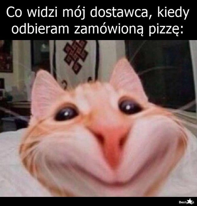 
    Szczęście wymalowane na twarzy 