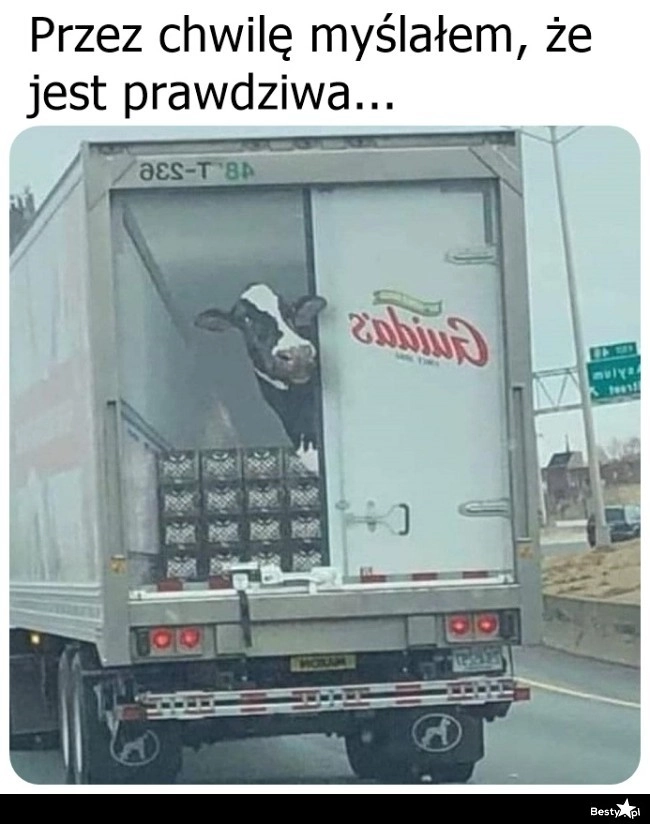 
    Na pierwszy rzut oka 