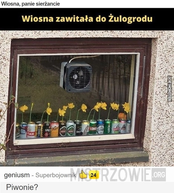 
    Wiosna, panie sierżancie