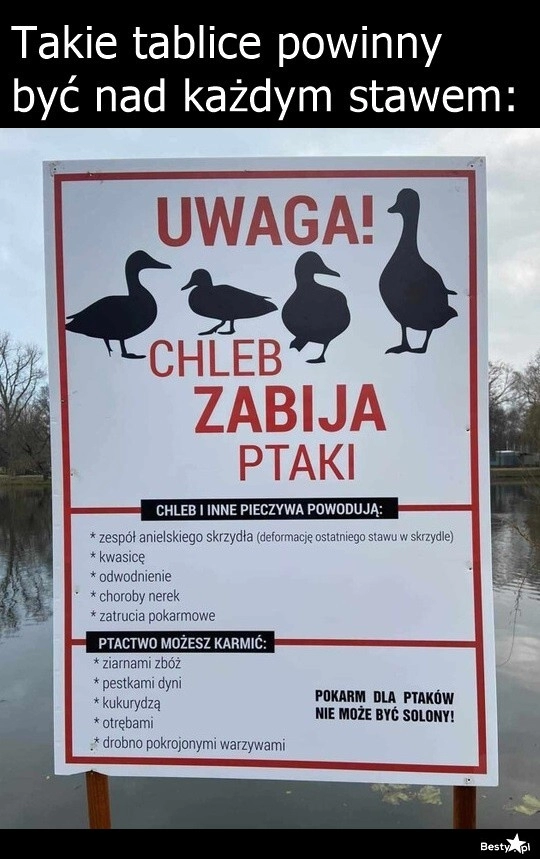 
    Trzeba uświadamiać 