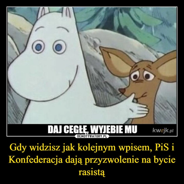 
    Gdy widzisz jak kolejnym wpisem, PiS i Konfederacja dają przyzwolenie na bycie rasistą