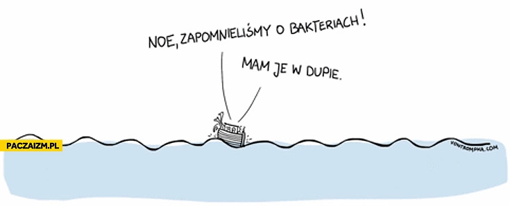
    Noe zapomnieliśmy o bakteriach mam je w dupie