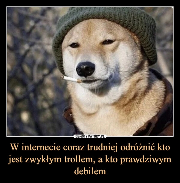 
    W internecie coraz trudniej odróżnić kto jest zwykłym trollem, a kto prawdziwym debilem