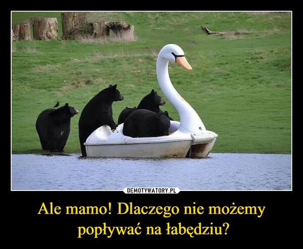 
    Ale mamo! Dlaczego nie możemy
 popływać na łabędziu?