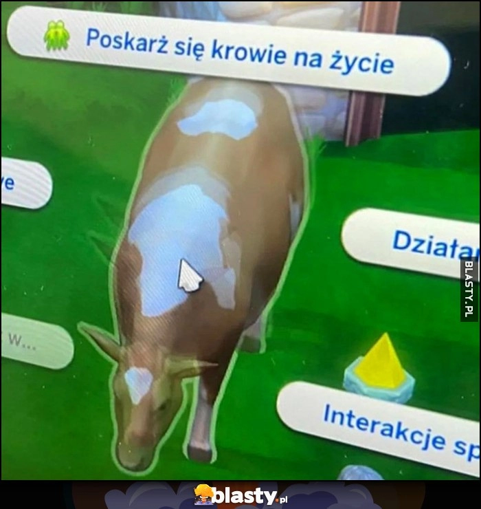 
    Poskarż się krowie na życie opcja w grze