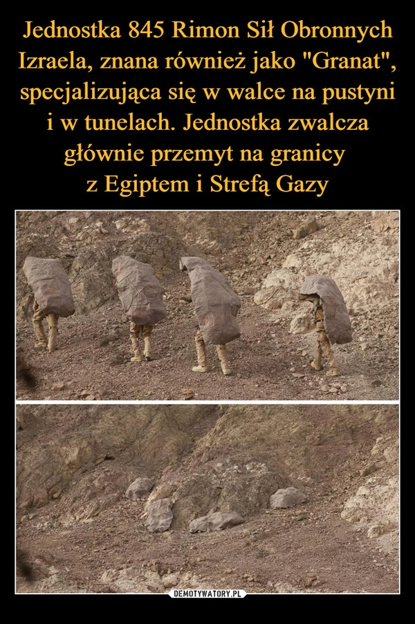 
    Jednostka 845 Rimon Sił Obronnych Izraela, znana również jako "Granat", specjalizująca się w walce na pustyni i w tunelach. Jednostka zwalcza głównie przemyt na granicy 
z Egiptem i Strefą Gazy