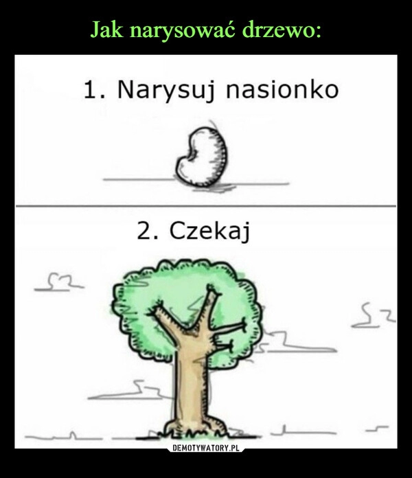 
    Jak narysować drzewo: