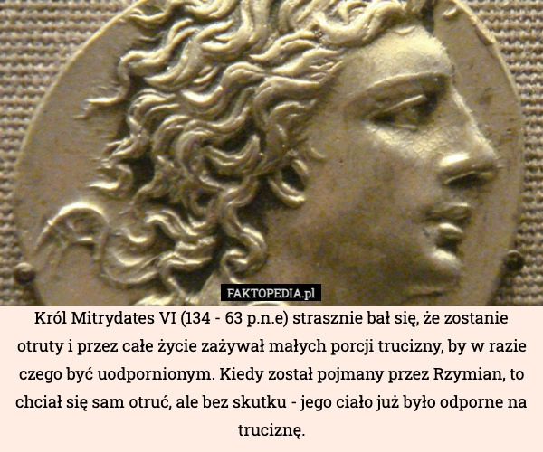 
    Król Mitrydates VI (134 - 63 p.n.e) strasznie bał się, że zostanie otruty