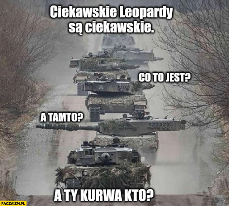 
    Ciekawskie Leopardy są ciekawskie: co to jest, a tamto, a ty kurna kto? Czołgi jada w kolumnie