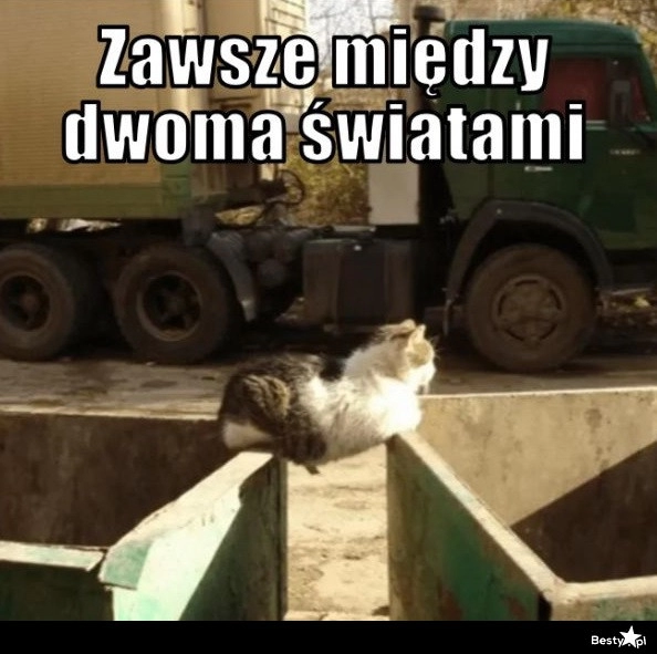 
    Między dwoma światami 