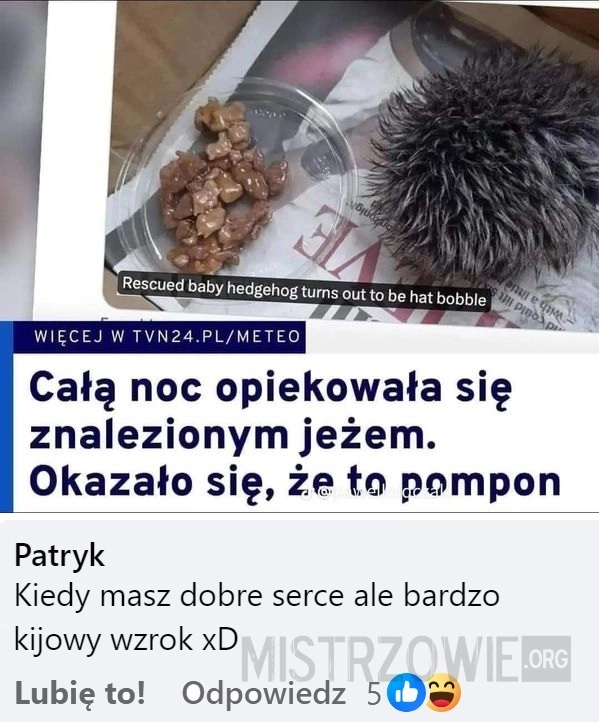 
    Jeż