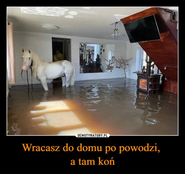 
    Wracasz do domu po powodzi, 
a tam koń