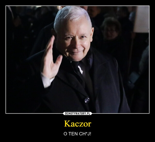 
    Kaczor