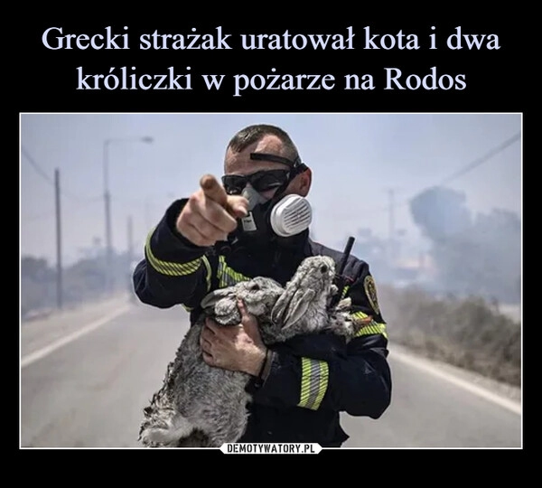 
    Grecki strażak uratował kota i dwa króliczki w pożarze na Rodos