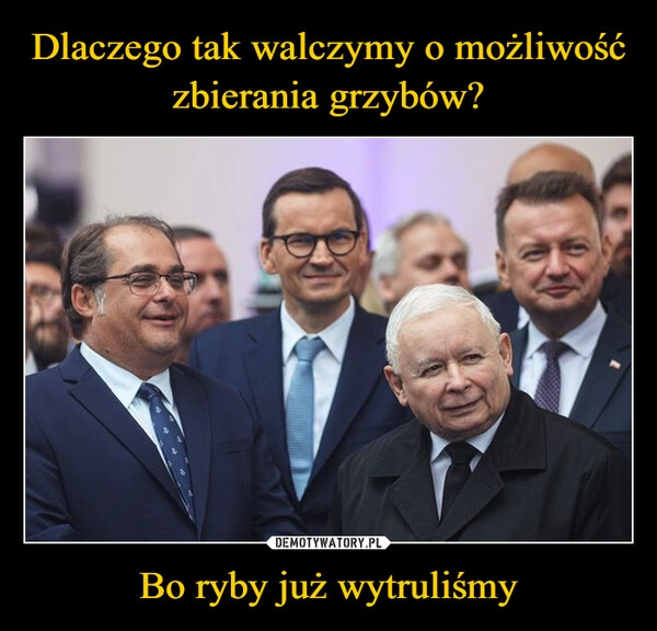 
    Dlaczego tak walczymy o możliwość zbierania grzybów? Bo ryby już wytruliśmy