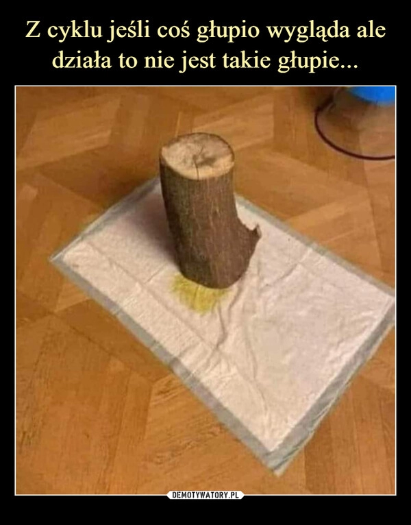 
    Z cyklu jeśli coś głupio wygląda ale działa to nie jest takie głupie...