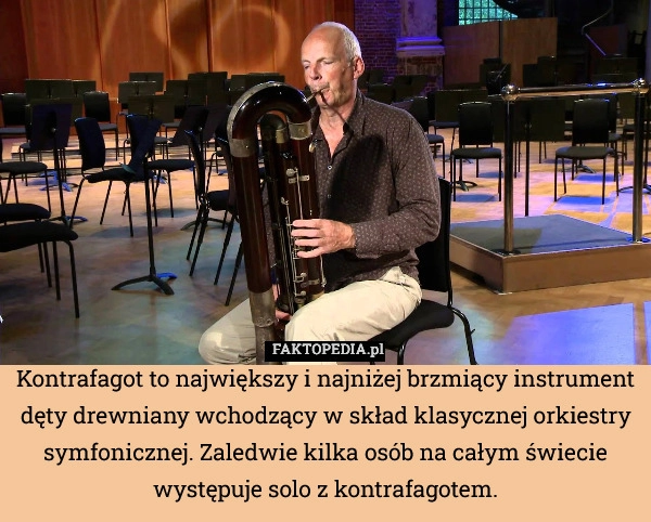 
    Kontrafagot to największy i najniżej brzmiący instrument dęty drewniany