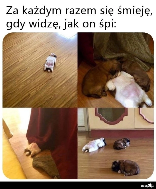 
    Słodziak 