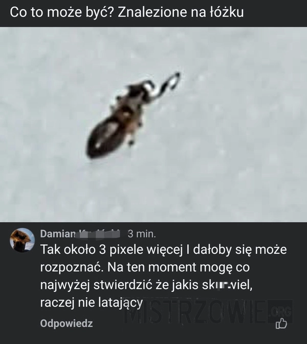 
    Około 3 pixele