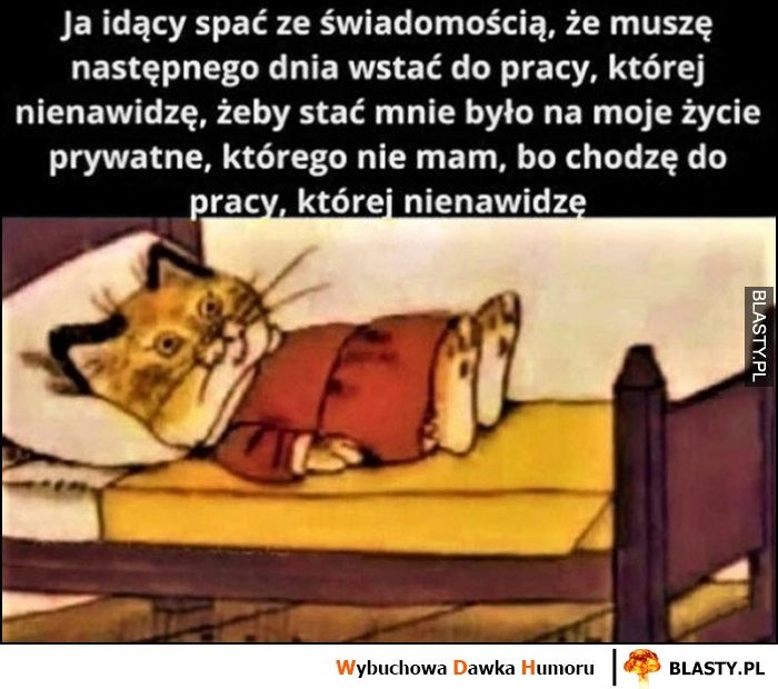 
    Ja idący spać wiedząc, że muszę wstać do pracy, żeby mnie było stać na życie którego nie mam bo chodzę do pracy której nienawidzę kot kotek