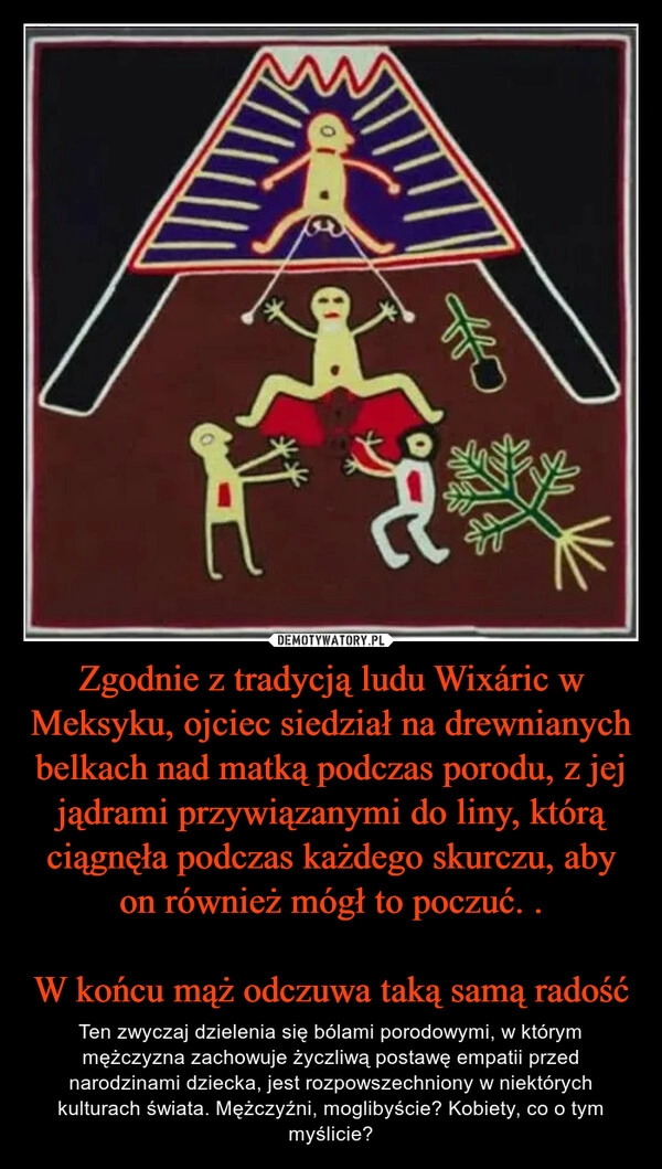 
    Zgodnie z tradycją ludu Wixáric w Meksyku, ojciec siedział na drewnianych belkach nad matką podczas porodu, z jej jądrami przywiązanymi do liny, którą ciągnęła podczas każdego skurczu, aby on również mógł to poczuć. .

W końcu mąż odczuwa taką samą radość