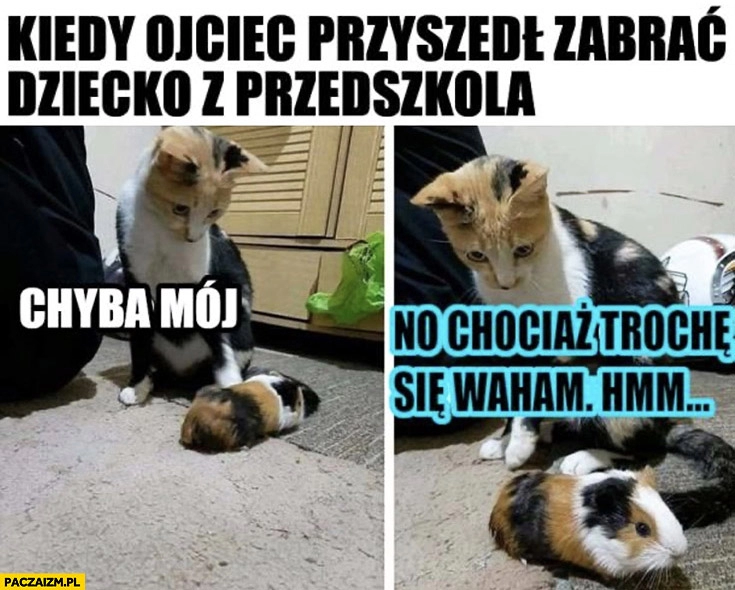 
    Kot kiedy ojciec przyszedł zabrać dziecko z przedszkola, chyba mój no chociaż trochę się waham