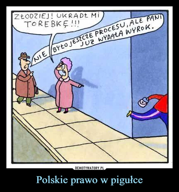 
    Polskie prawo w pigułce