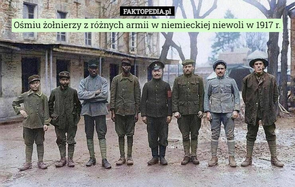 
    Ośmiu żołnierzy z różnych armii w niemieckiej niewoli w 1917 r.