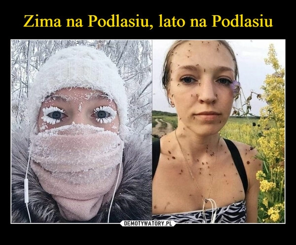 
    Zima na Podlasiu, lato na Podlasiu