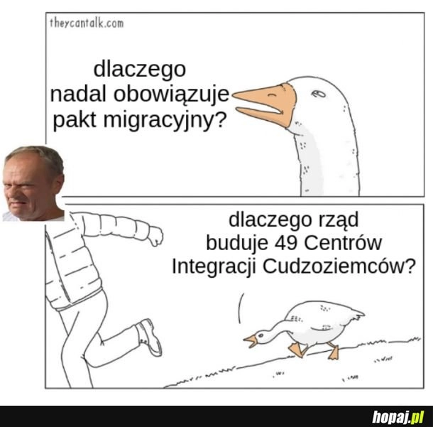 
    Omerta i tematy zastępcze, a zaraz zwalą się hordy doktorów i inżynierów